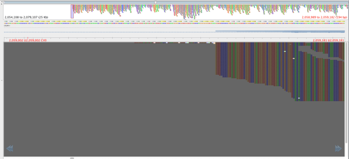 H120860350_bwa_mem_2059108