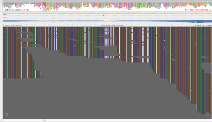 H120860350_old_4576802