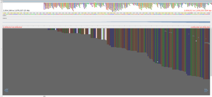 H120860350_old_bwa_2059108