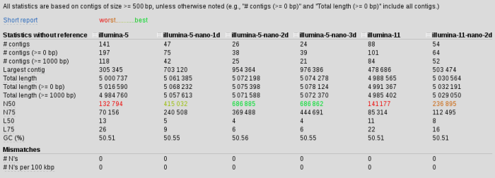 assembly-nano-stats1
