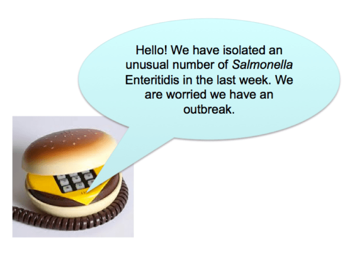 salmonella_exercise_1