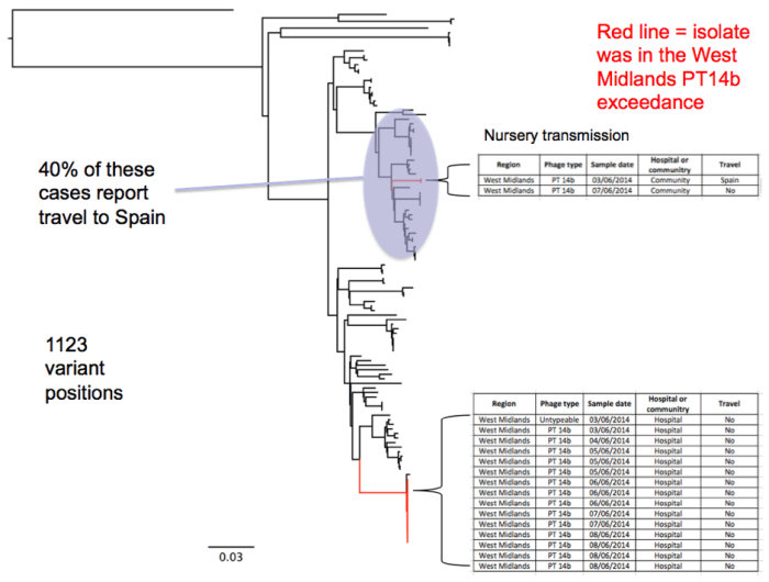 salmonella_exercise_3